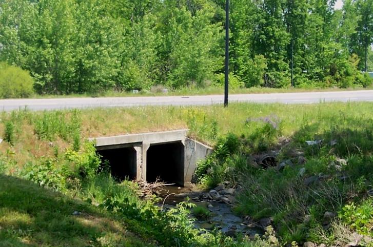 Catawba River Tributary Double Box Culvert - SC Route 161 - York County, SC